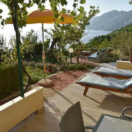 Apartment Vineyard Oaza